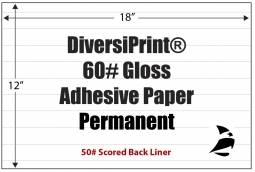 DiversiPrint Gloss  60# Adhesive Paper, Scored Liner, Permanent, 12" x 18", 500 Sheets