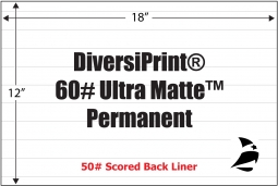 DiversiPrint Ultra Matte  60# Adhesive Paper, Permanent, Scored, 12" x 18", 500 Sheets