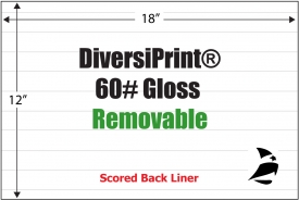 Diversiprint Gloss 60# Adhesive Paper, 12" x 18", Removable, Scored,  200 Sheets