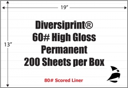 DiversiPrint 60# High Gloss Adhesive Paper, Strip-Tac Plus, 13" x 19", Perm, 200 Sheets